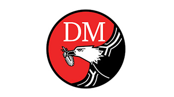 Daily Maverick logo